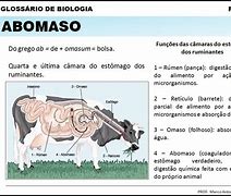 Image result for abimaso