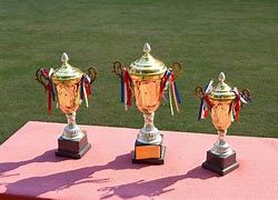 Image result for Horse Racing Trophy