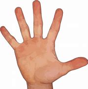 Image result for Five Finger Hand