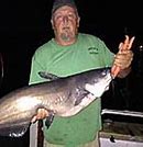 Image result for Big Fish Catfish