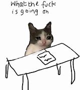 Image result for Interview Cat Meme