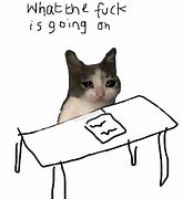 Image result for Skeptical Cat Meme