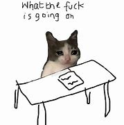 Image result for Silly Cat Shitpost