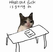 Image result for Would Cat Meme