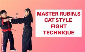 Image result for Martial Arts Fighting