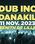 Image result for Dub Inc Concert
