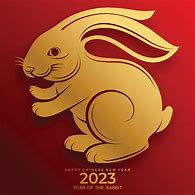 Image result for Chinese New Year Rabbit Picture