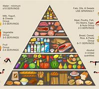 Image result for Food Pyramid Information
