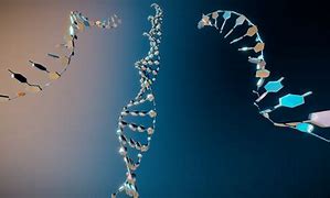 Image result for RNA HD Wallpapers