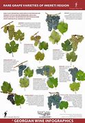 Image result for Grape Species Identification