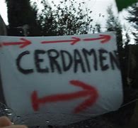 Image result for cerdamen