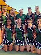 Image result for Wildcatz Indoor Netball