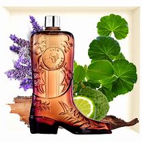 Image result for Avon Wild Country Cologne