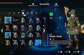 Image result for Breath of the Wild No Pockets