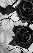 Image result for Gothic Rose Black and White