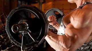 Image result for Heavy weight Lifting