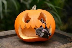 Image result for Bat Coming Out of a Pumpkin
