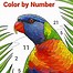 Image result for Color by Numbers App for Adults