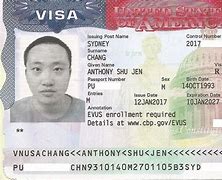 Image result for O1 Visa USA