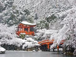 Image result for Japan Cool Places