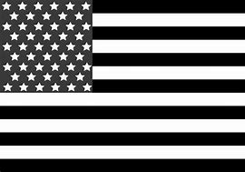 Image result for American Flag Black and White
