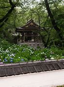 Image result for Japan High Quality Photo