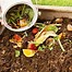 Image result for Sheet Composting Example