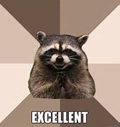 Image result for Scary Raccoon Meme