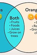 Image result for Compare and Contrast Apples and Oranges Essay