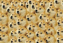 Image result for Meme Pictures for Laptop Background