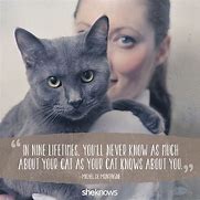 Image result for Cat Owner Quotes