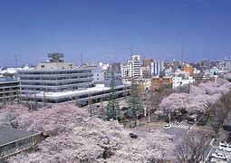 Image result for Sagamihara Schools Japan