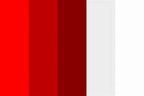 Image result for Red and White Color