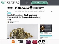 Image result for http://marijuanamoment.org/