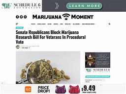 Image result for http://marijuanamoment.org/