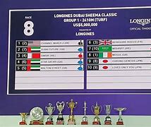 Image result for Dubai World Cup Race Chart