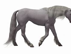 Image result for Black Unicorn