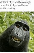 Image result for Monkey Think Meme
