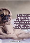 Image result for New Year's Quotes Funny