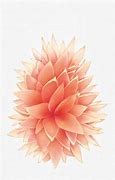 Image result for iPhone Ten Rose Gold