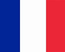 Image result for France Knife Attack