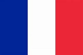 Image result for French France Flag