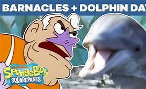Image result for Spongebob SquarePants Dolphin