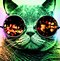 Image result for Cat Sunglasses Space Wallpaper