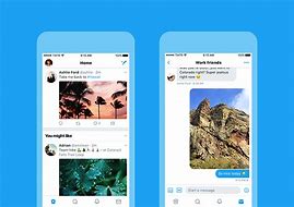 Image result for Twitter On iPhone Interface