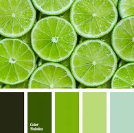 Image result for Lime Green Gradient