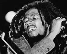 Image result for Bob Marley Face