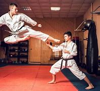 Image result for Different Martial Arts