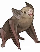 Image result for Vampire Bat Meme