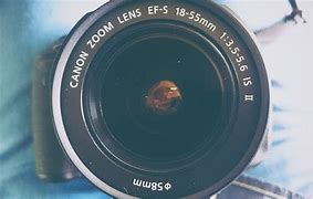 Image result for Fisheye Lens Effect